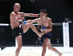 APP下载_综合格斗焦点战引热议(综合格斗教学完整版)